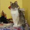 Отзыв от Василиса Голованова